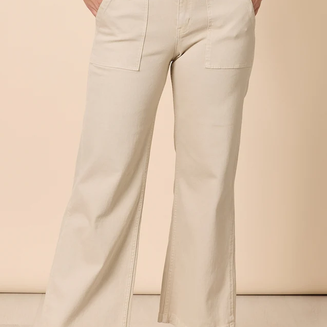 Hudson High Rise Wide Leg Jean